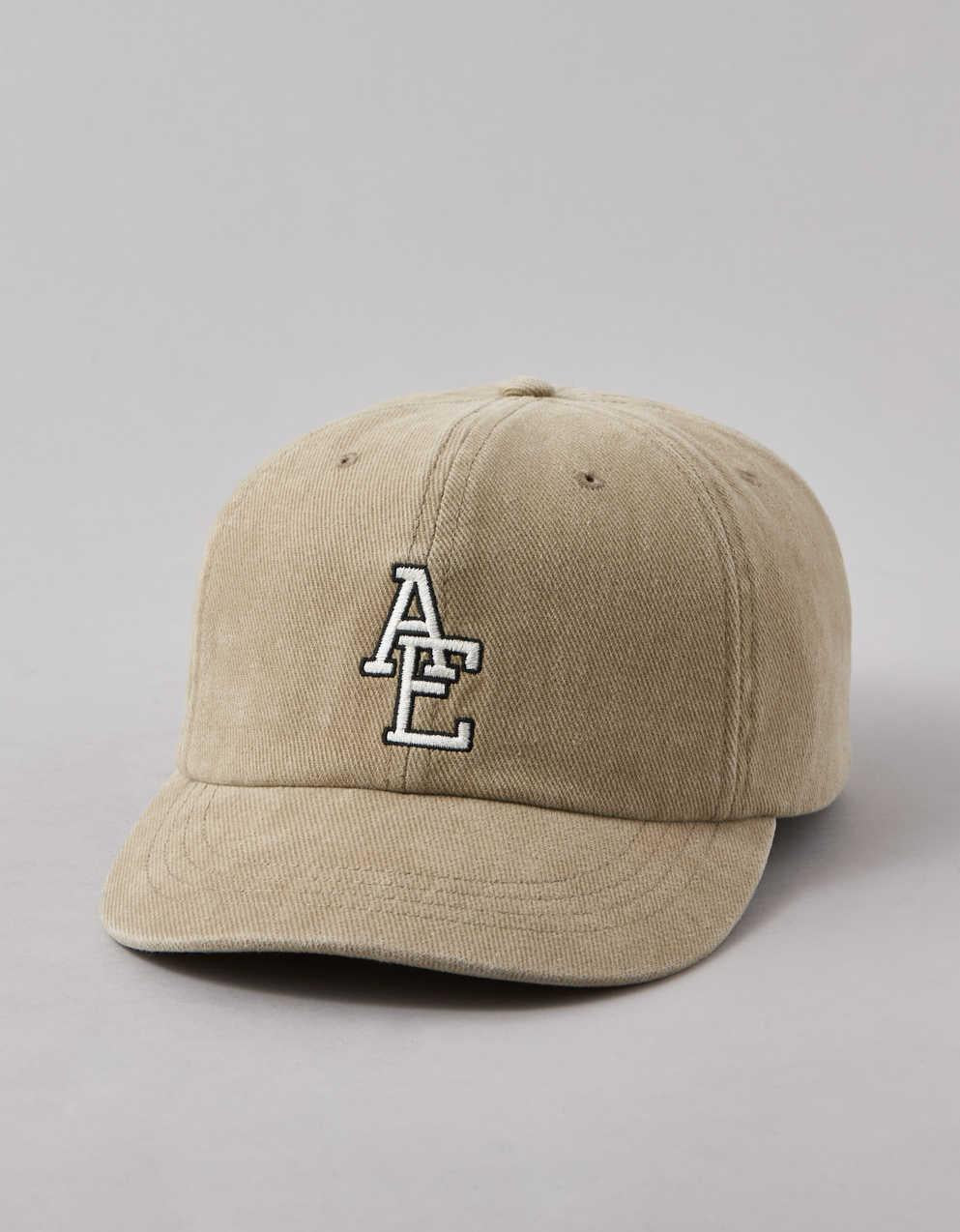 AEO Fitted 棒球帽