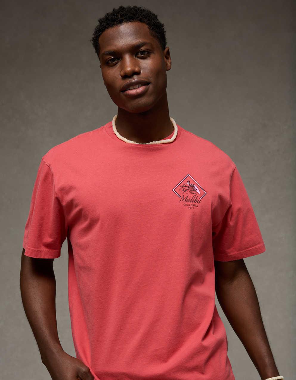 AE Standard Fit Destination Graphic T-Shirt