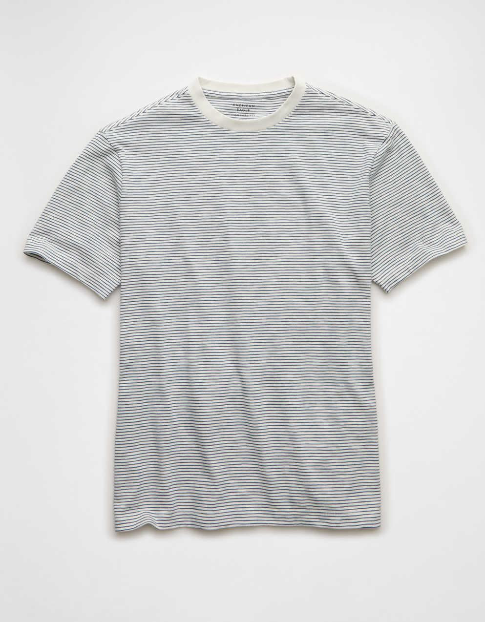 AE Standard Fit Lived-In T-Shirt