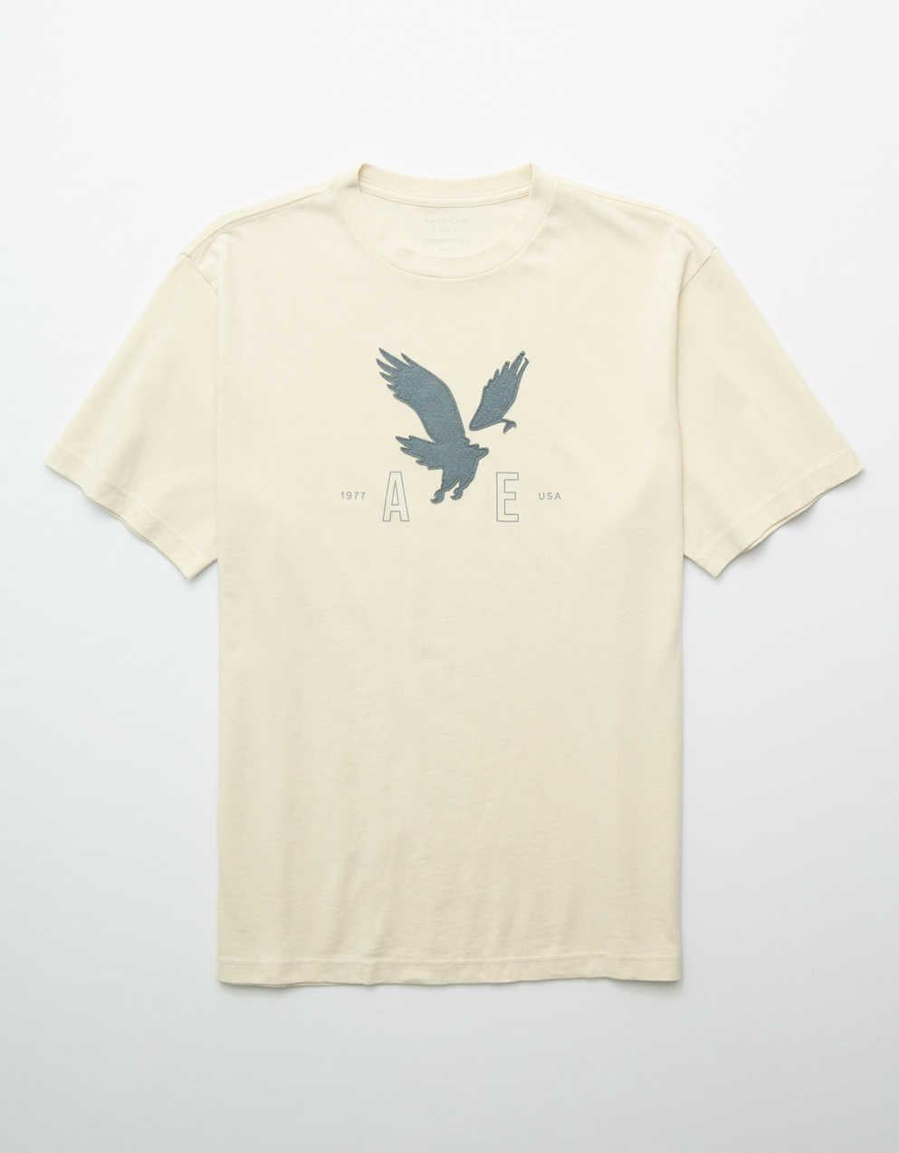 AE Graphic T-Shirt
