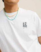 AE Standard Fit Graphic Logo T-Shirt