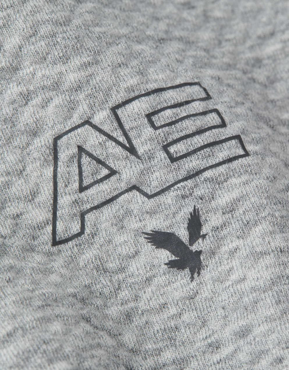 AE 24/7 紋理羊毛連帽衫