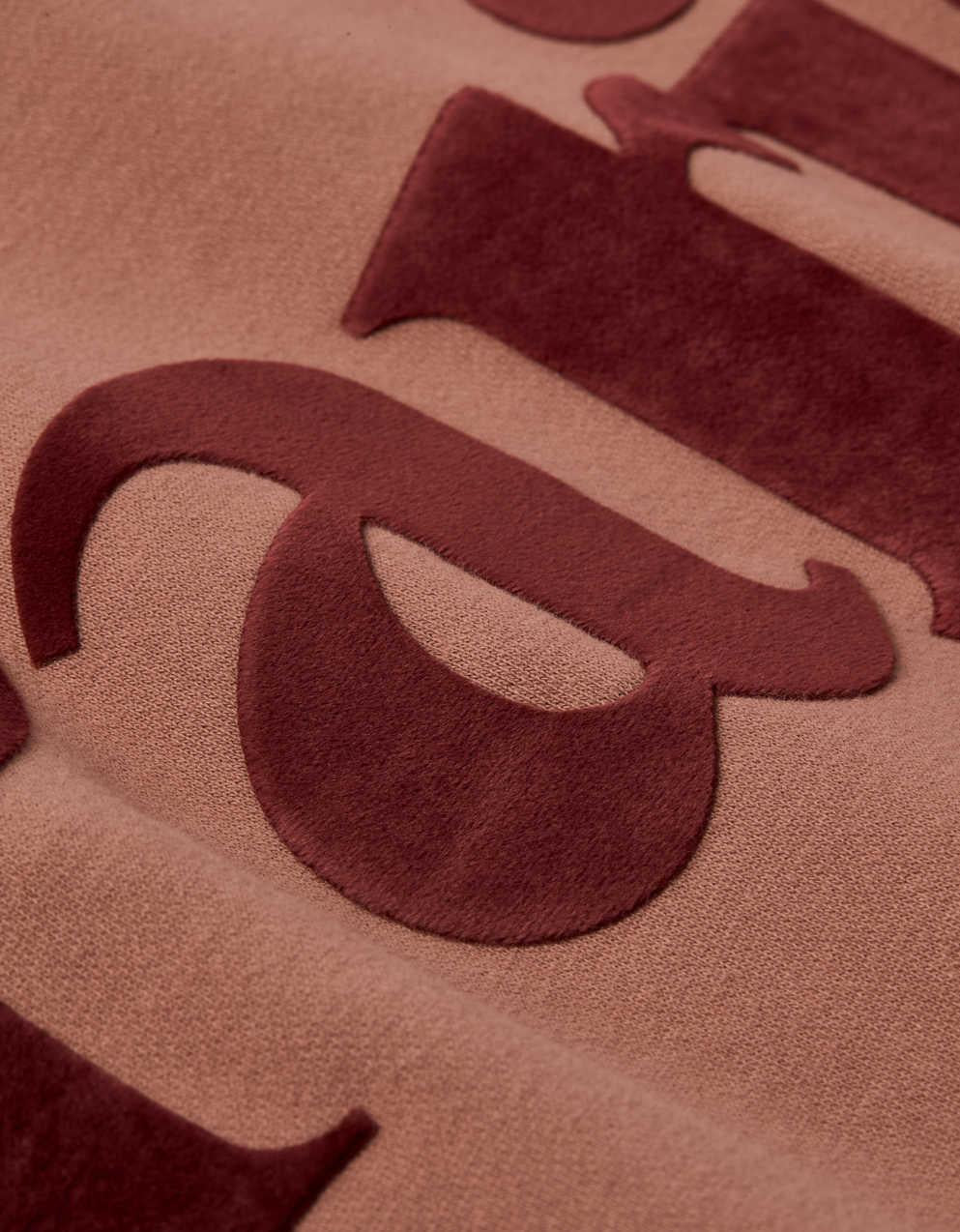 AE Graphic Crew Neck Sweatshirt