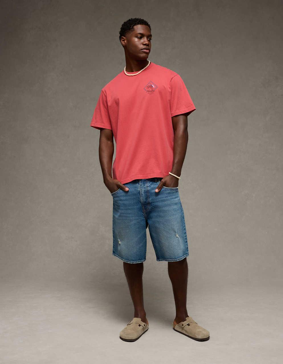 AE Standard Fit Destination Graphic T-Shirt