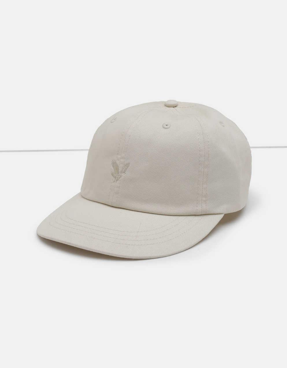 AE Icon Baseball Hat